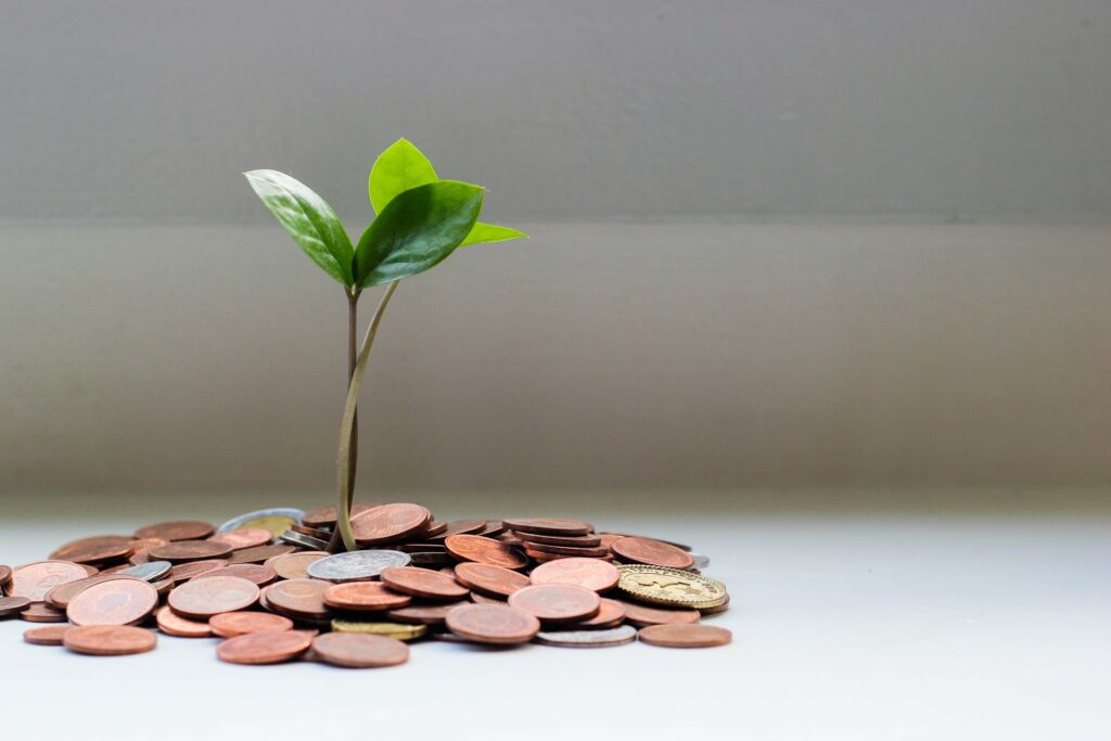 Várias moedas sobre uma superfície branca, com uma planta florescendo do meio delas, simbolizando o dinheiro como raiz do crescimento.